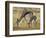 Mother and Young Springbok, Mountain Zebra National Park, South Africa-James Hager-Framed Photographic Print