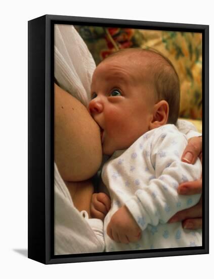 Mother Breast-feeding Her 3 Month Old Baby Boy-David Parker-Framed Premier Image Canvas