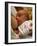 Mother Breast-feeding Her 3 Month Old Baby Boy-David Parker-Framed Photographic Print