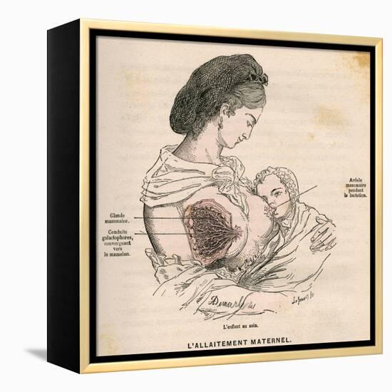 Mother Breastfeeding 19C-A. Demarle-Framed Stretched Canvas