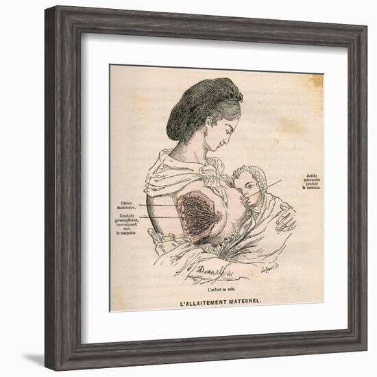 Mother Breastfeeding 19C-A. Demarle-Framed Art Print