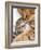 Mother Cat Hugging Little Kitten-Andrey_Kuzmin-Framed Photographic Print