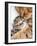 Mother Cat Hugging Little Kitten-Andrey_Kuzmin-Framed Photographic Print