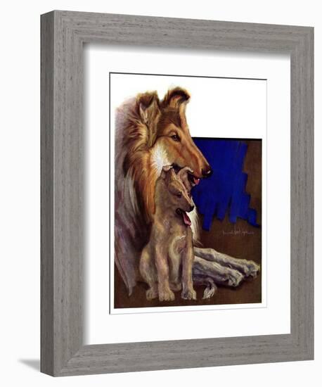 "Mother Collie and Pup,"July 15, 1933-Howard Van Dyck-Framed Giclee Print