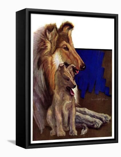 "Mother Collie and Pup,"July 15, 1933-Howard Van Dyck-Framed Premier Image Canvas