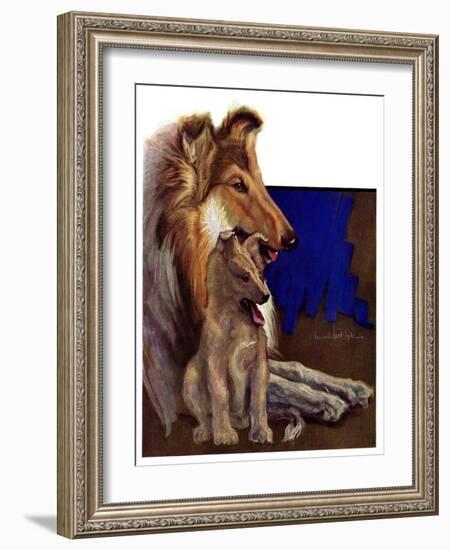 "Mother Collie and Pup,"July 15, 1933-Howard Van Dyck-Framed Giclee Print