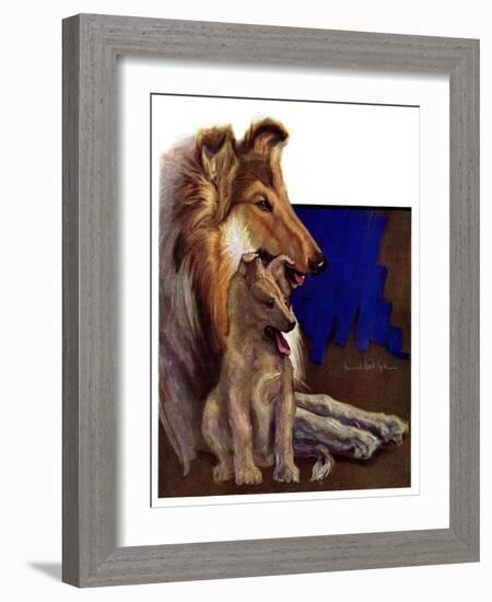 "Mother Collie and Pup,"July 15, 1933-Howard Van Dyck-Framed Giclee Print