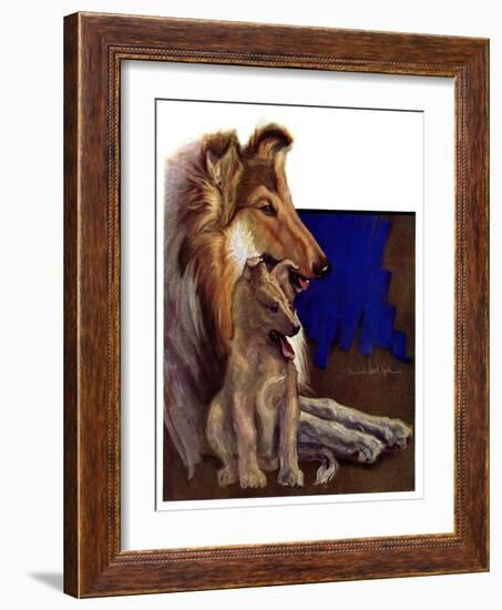 "Mother Collie and Pup,"July 15, 1933-Howard Van Dyck-Framed Giclee Print