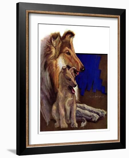 "Mother Collie and Pup,"July 15, 1933-Howard Van Dyck-Framed Giclee Print