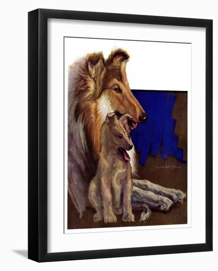 "Mother Collie and Pup,"July 15, 1933-Howard Van Dyck-Framed Giclee Print