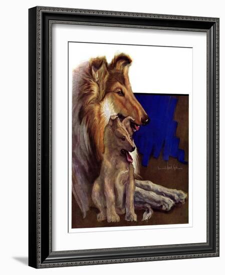 "Mother Collie and Pup,"July 15, 1933-Howard Van Dyck-Framed Giclee Print