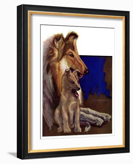 "Mother Collie and Pup,"July 15, 1933-Howard Van Dyck-Framed Giclee Print