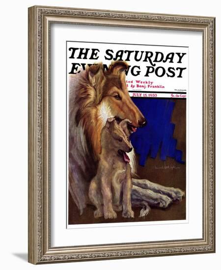 "Mother Collie and Pup," Saturday Evening Post Cover, July 15, 1933-Howard Van Dyck-Framed Giclee Print