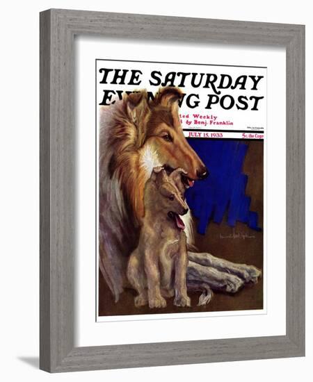 "Mother Collie and Pup," Saturday Evening Post Cover, July 15, 1933-Howard Van Dyck-Framed Giclee Print