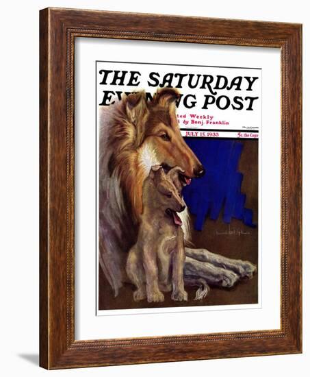 "Mother Collie and Pup," Saturday Evening Post Cover, July 15, 1933-Howard Van Dyck-Framed Giclee Print