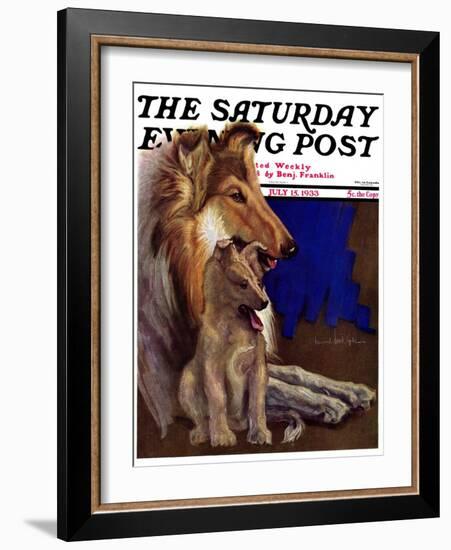 "Mother Collie and Pup," Saturday Evening Post Cover, July 15, 1933-Howard Van Dyck-Framed Giclee Print