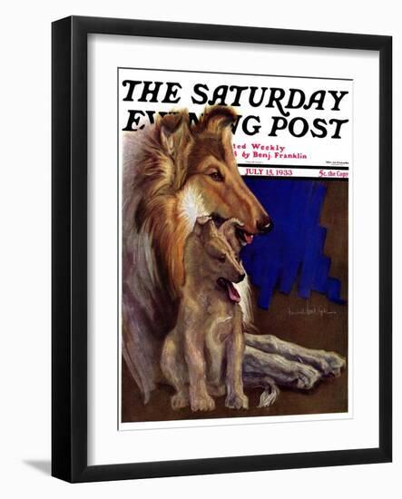 "Mother Collie and Pup," Saturday Evening Post Cover, July 15, 1933-Howard Van Dyck-Framed Giclee Print