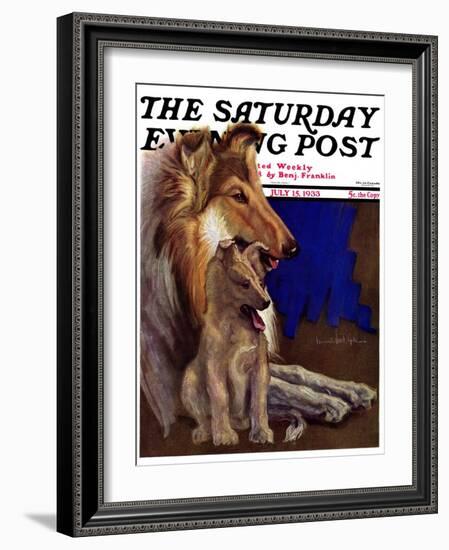 "Mother Collie and Pup," Saturday Evening Post Cover, July 15, 1933-Howard Van Dyck-Framed Giclee Print