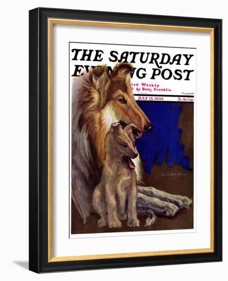 "Mother Collie and Pup," Saturday Evening Post Cover, July 15, 1933-Howard Van Dyck-Framed Giclee Print