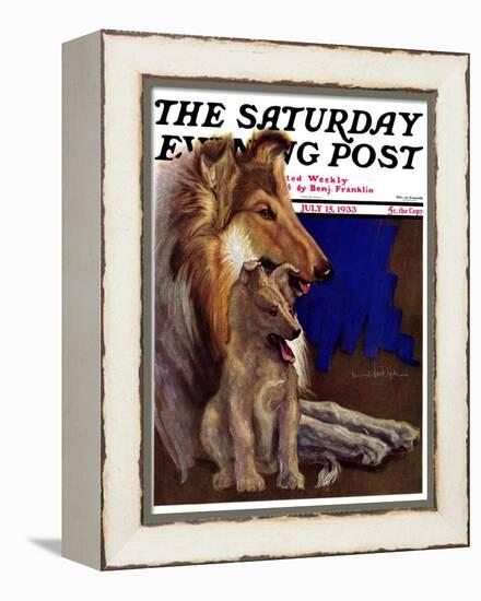 "Mother Collie and Pup," Saturday Evening Post Cover, July 15, 1933-Howard Van Dyck-Framed Premier Image Canvas