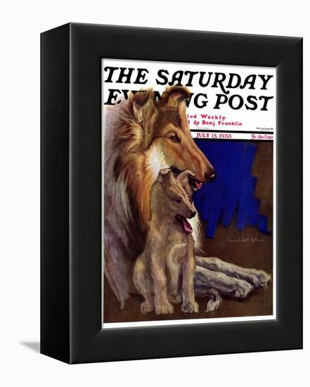 "Mother Collie and Pup," Saturday Evening Post Cover, July 15, 1933-Howard Van Dyck-Framed Premier Image Canvas