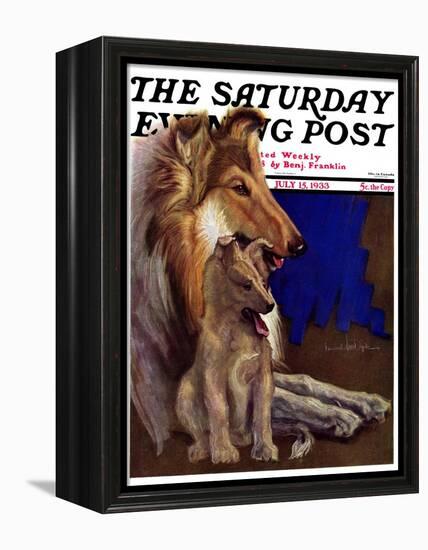 "Mother Collie and Pup," Saturday Evening Post Cover, July 15, 1933-Howard Van Dyck-Framed Premier Image Canvas