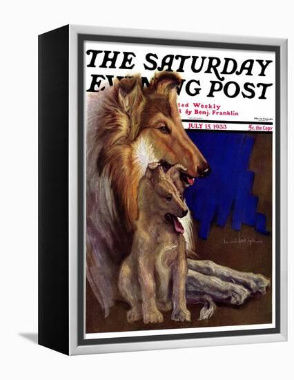 "Mother Collie and Pup," Saturday Evening Post Cover, July 15, 1933-Howard Van Dyck-Framed Premier Image Canvas