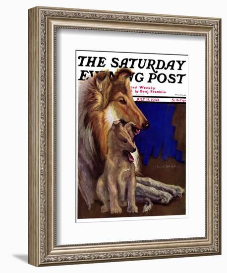 "Mother Collie and Pup," Saturday Evening Post Cover, July 15, 1933-Howard Van Dyck-Framed Giclee Print