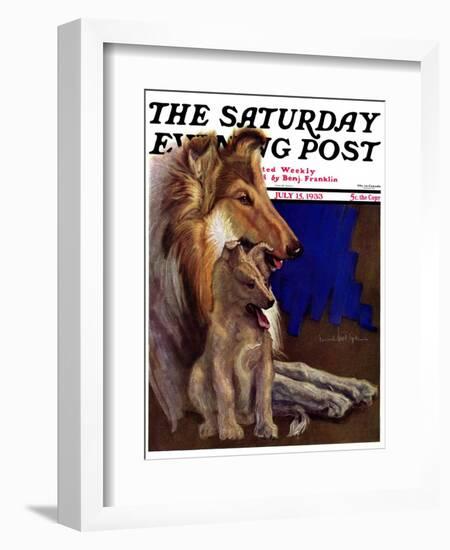 "Mother Collie and Pup," Saturday Evening Post Cover, July 15, 1933-Howard Van Dyck-Framed Giclee Print