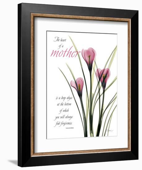 Mother Crocus-Albert Koetsier-Framed Art Print