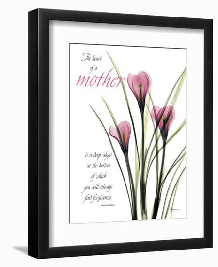 Mother Crocus-Albert Koetsier-Framed Art Print