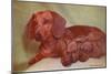 Mother Dachshund and Two Pups-null-Mounted Art Print