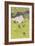 Mother Duck with Ducklings-Linda Benton-Framed Giclee Print