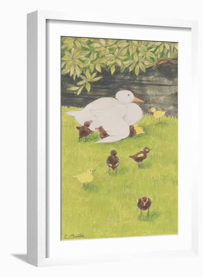 Mother Duck with Ducklings-Linda Benton-Framed Giclee Print
