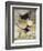 Mother Goose, 1913-Arthur Rackham-Framed Giclee Print