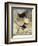 Mother Goose, 1913-Arthur Rackham-Framed Giclee Print