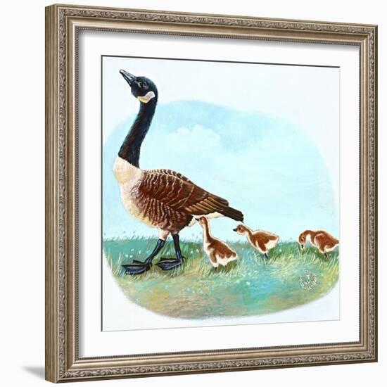 Mother Goose-Judy Mastrangelo-Framed Giclee Print