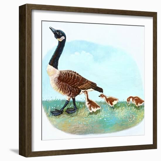 Mother Goose-Judy Mastrangelo-Framed Giclee Print