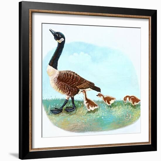 Mother Goose-Judy Mastrangelo-Framed Giclee Print