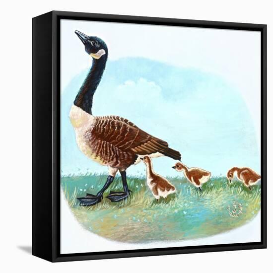 Mother Goose-Judy Mastrangelo-Framed Premier Image Canvas