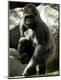 Photographic Print