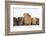 Mother Guinea Pig and Four Baby Guinea Pigs, Each a Different Colour-Mark Taylor-Framed Photographic Print