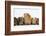 Mother Guinea Pig and Four Baby Guinea Pigs, Each a Different Colour-Mark Taylor-Framed Photographic Print