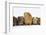 Mother Guinea Pig and Four Baby Guinea Pigs, Each a Different Colour-Mark Taylor-Framed Photographic Print