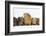 Mother Guinea Pig and Four Baby Guinea Pigs, Each a Different Colour-Mark Taylor-Framed Photographic Print
