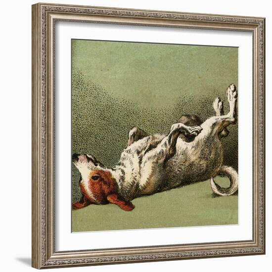 Mother Hubbard, Dog Dead-Harrison Weir-Framed Premium Giclee Print