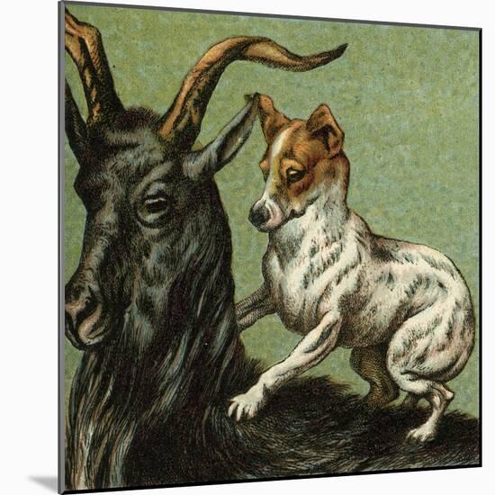 Mother Hubbard, Goat-Harrison Weir-Mounted Art Print
