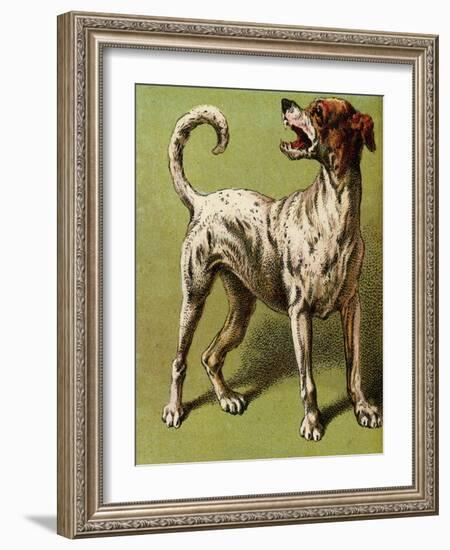 Mother Hubbard, Laughing-Harrison Weir-Framed Art Print