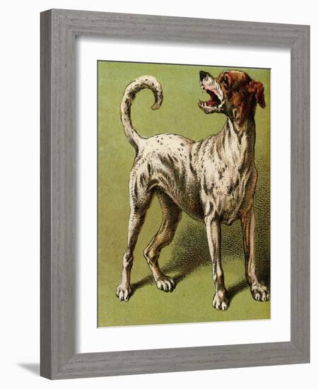 Mother Hubbard, Laughing-Harrison Weir-Framed Art Print