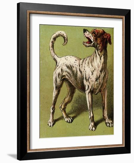 Mother Hubbard, Laughing-Harrison Weir-Framed Art Print